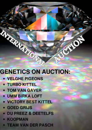ACTIVE AUCTION - INTERNATIONAL AUCTION - FROM 3 DECEMBER TO SUNDAY 7 DECEMBER 2025 (ENDING FROM 14:00)