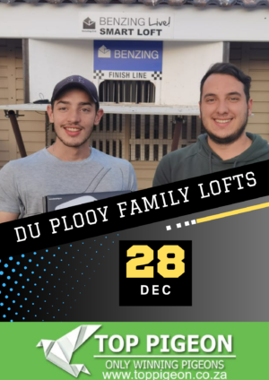ACTIVE AUCTION - DU PLOOY FAMILY LOFTS - FROM 22 DECEMBER TO SUNDAY 28 DECEMBER 2025 (ENDING FROM 14:00)