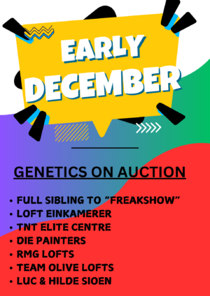 ACTIVE AUCTION - EARLY DECEMBER - FROM 2 DECEMBER TO SUNDAY 7 DECEMBER 2025 (ENDING FROM 13:40)