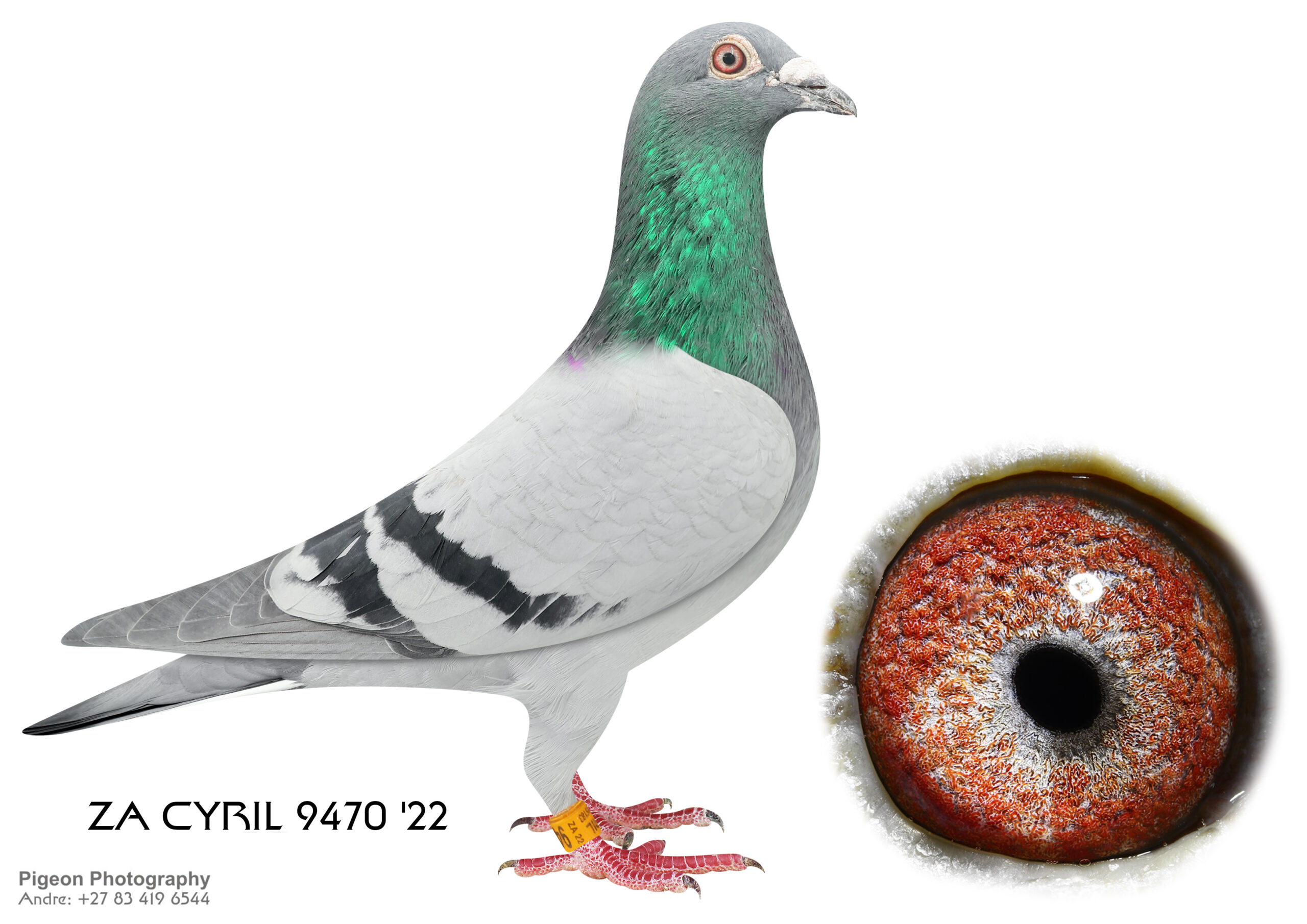 .LOT 9 DU PLOOY FAMILY LOFTS- ZA 22 CYRILL’S 9470 BB C –