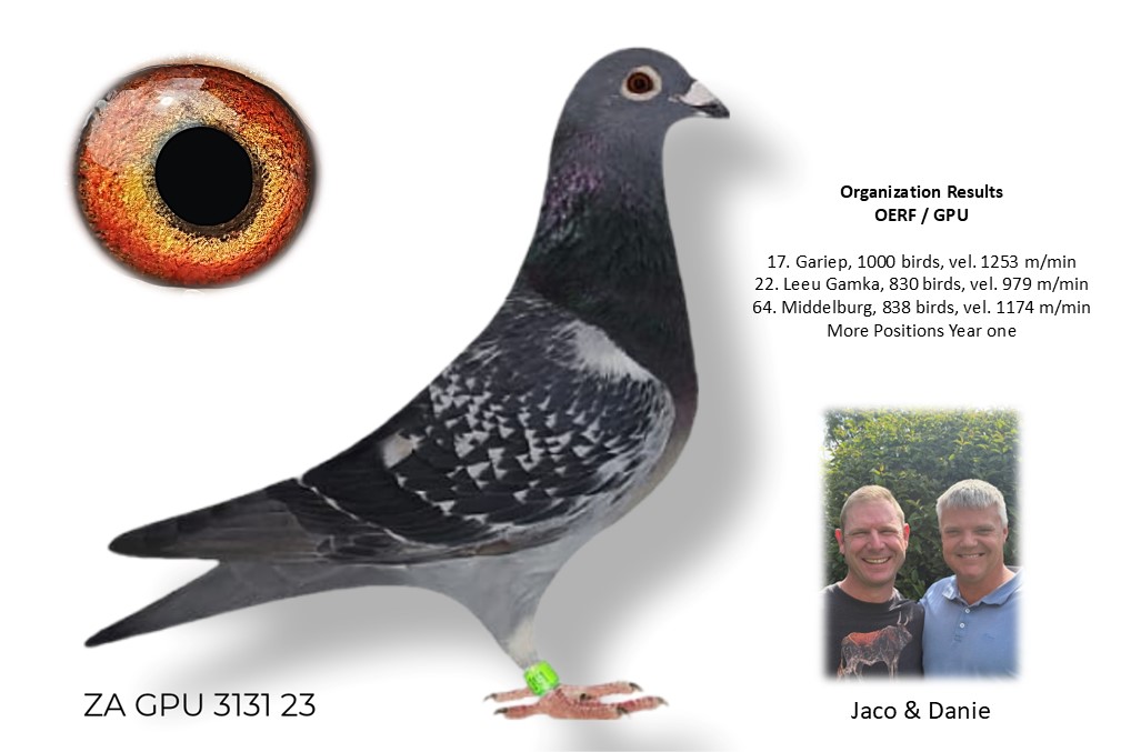 LOT 45 DANIE SCHOLTZ / JACO FAUL -3131 ZA 23 GPU –