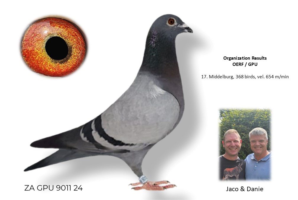 LOT 46 DANIE SCHOLTZ / JACO FAUL -9011 ZA 24 GPU –