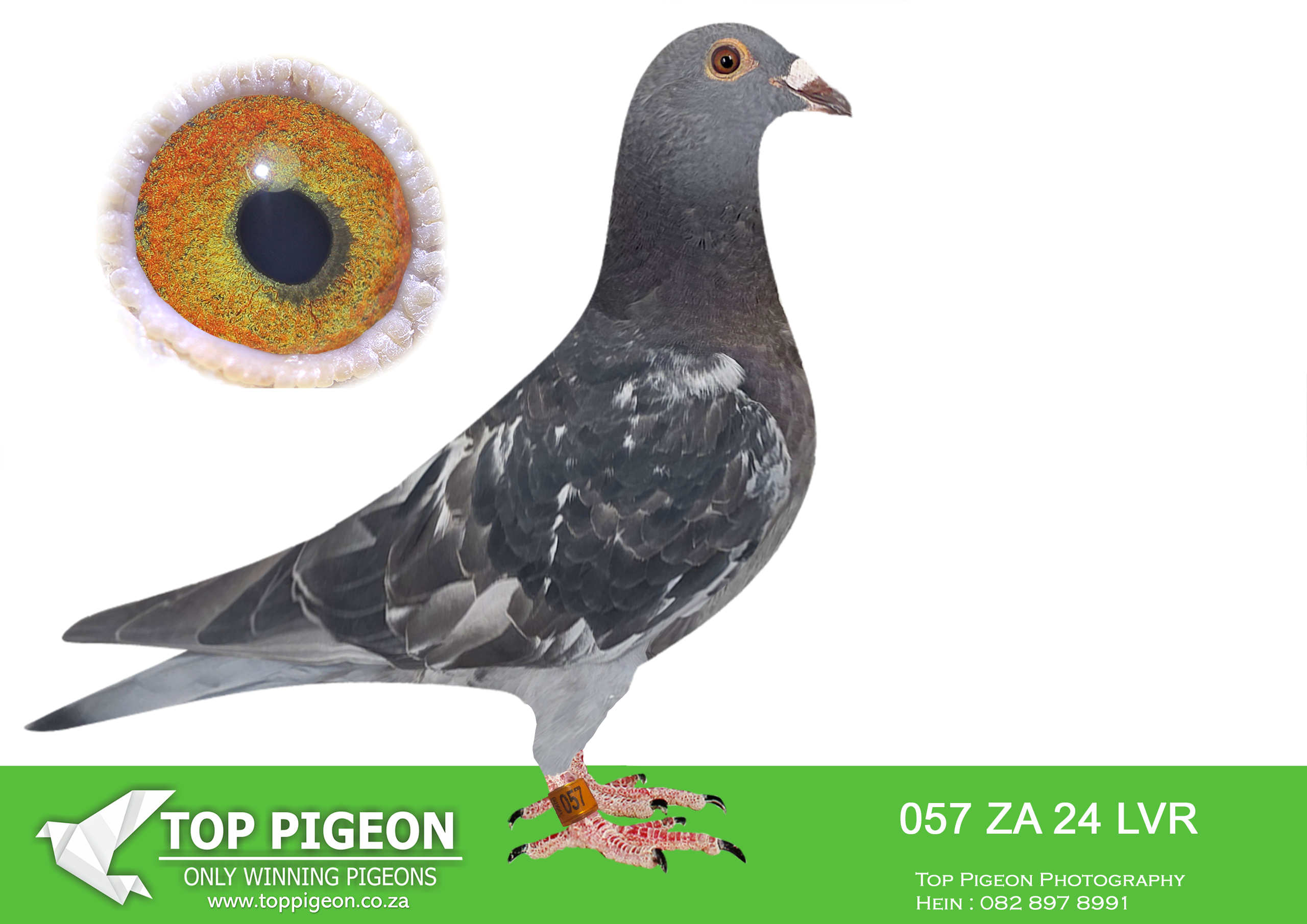 .LOT 4 MID JANUARY – ZA 24 LVR 057 –