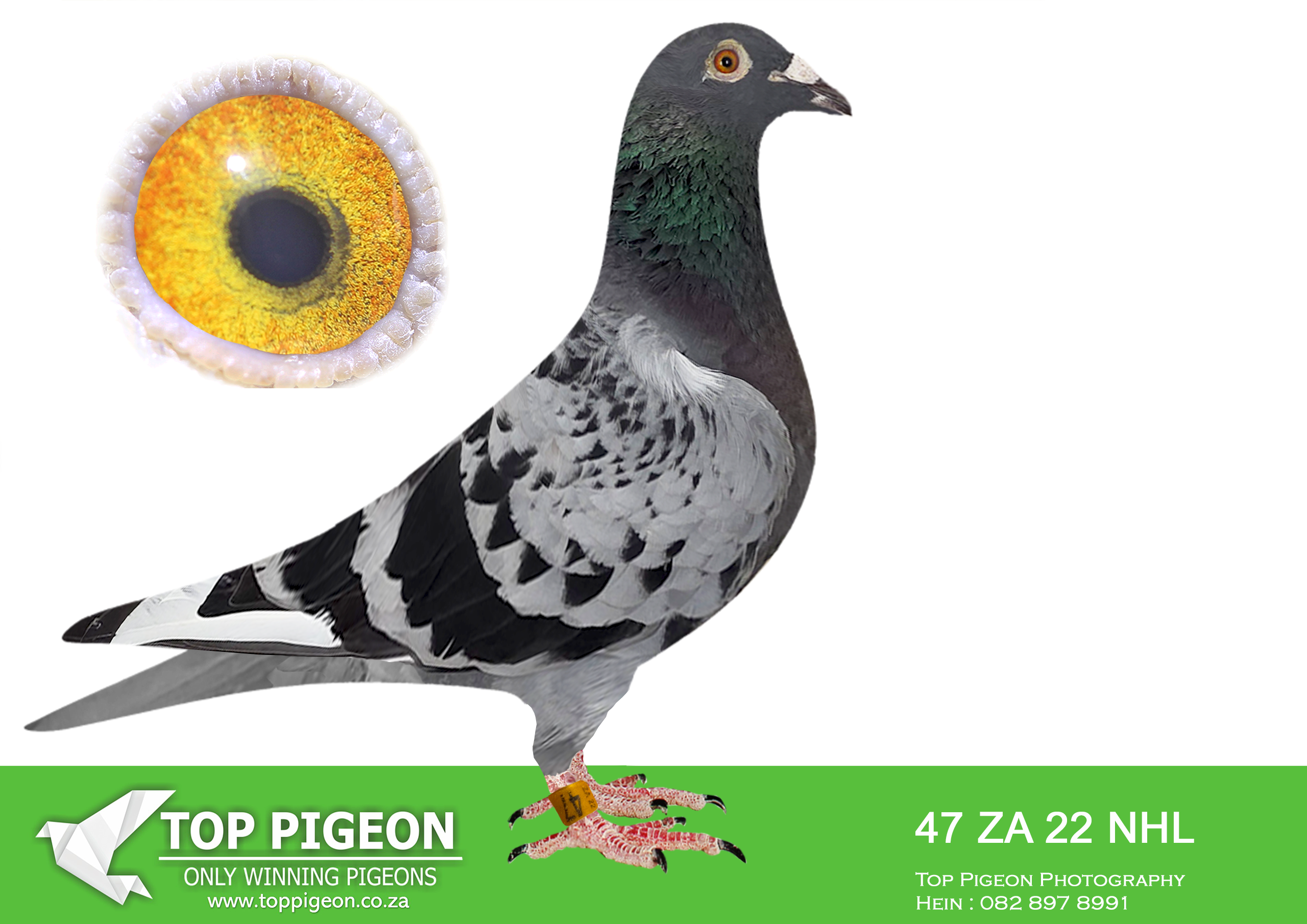 .LOT 1 BADENHORST HOKKE – ZA 22 NHL 47 –