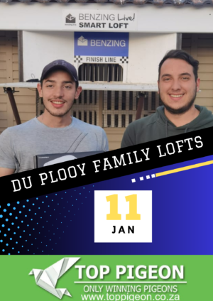 ACTIVE AUCTION - DU PLOOY FAMILY LOFTS - FROM 6 JANUARY TO SUNDAY 11 JANUARY 2026 (ENDING FROM 15:15)