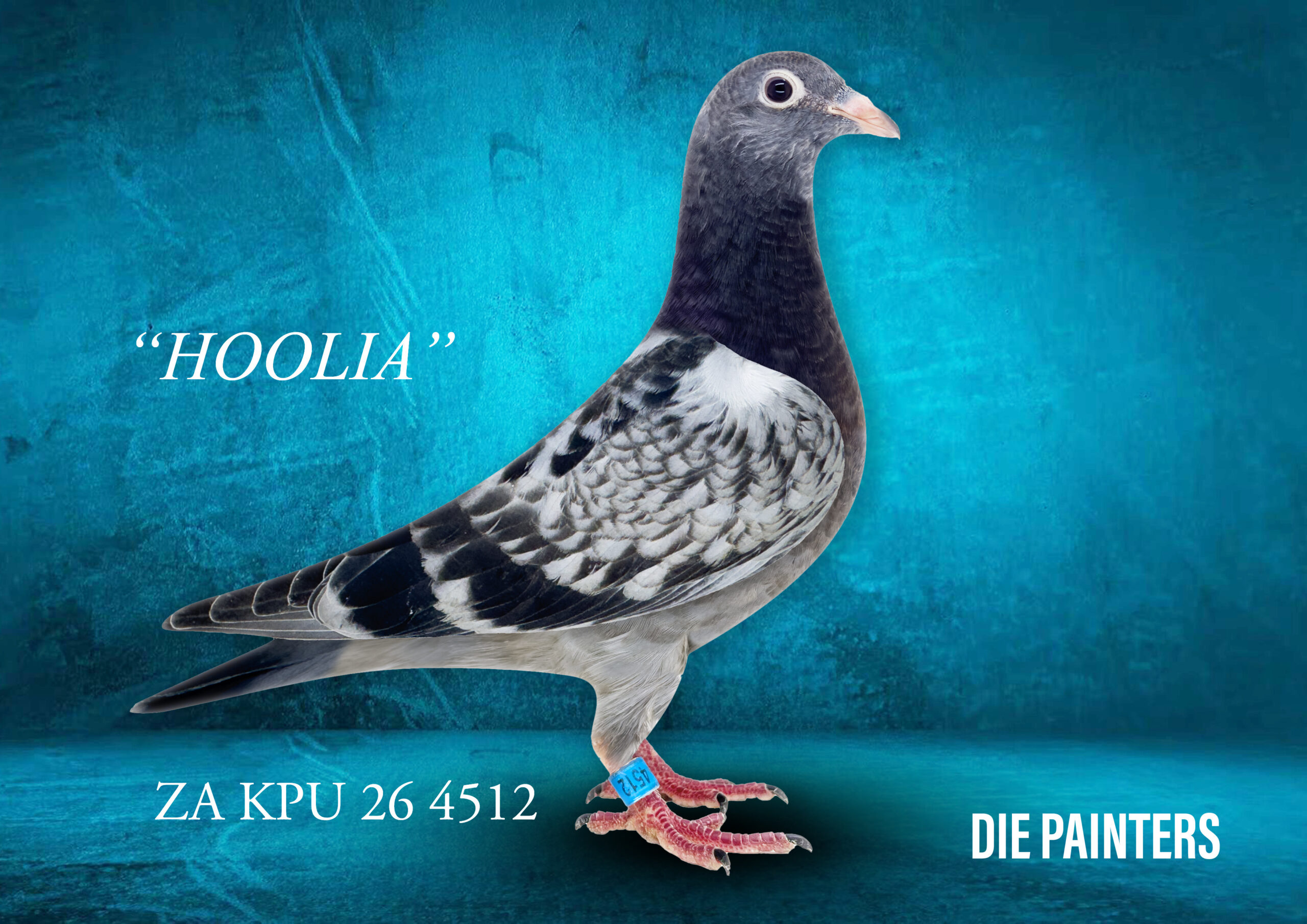 .LOT 3 DIE PAINTERS – ZA 26 KPU 4512 -the best-bred Jan Hooymans cock in South Africa. He is a full brother to “SARA” who won 1st Nat Bourges for Hooymans. Linebred to the current No 1 cock “NEW HARRY” The mother of the baby bred our latest racing sensation “MARATHON MISS” – she won 1st Club 1st Union 1st Gauteng Combine from Leeu Gamka 935km. She is also a full sister to: “MEDAL MISS” 1st NATIONAL ACE PIGEON MIDDLE DISTANCE 2019 SANPO GOLD MEDAL WINNER WINNER MIDDLE DISTANCE 2019! “BAKBEEN” Sire 1st GREEN JACKET AFRIKAPRO 2024. “GOLDEN WHIP” 1st NATIONAL ACE PIGEON LONG DISTANCE 2024.SEE PEDIGREE!!!