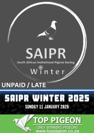 ACTIVE AUCTION - SAIPR OLR UNPAID / LATE - FROM 7 JANUARY TO SUNDAY 11 JANUARY 2026 (ENDING FROM 16:15)