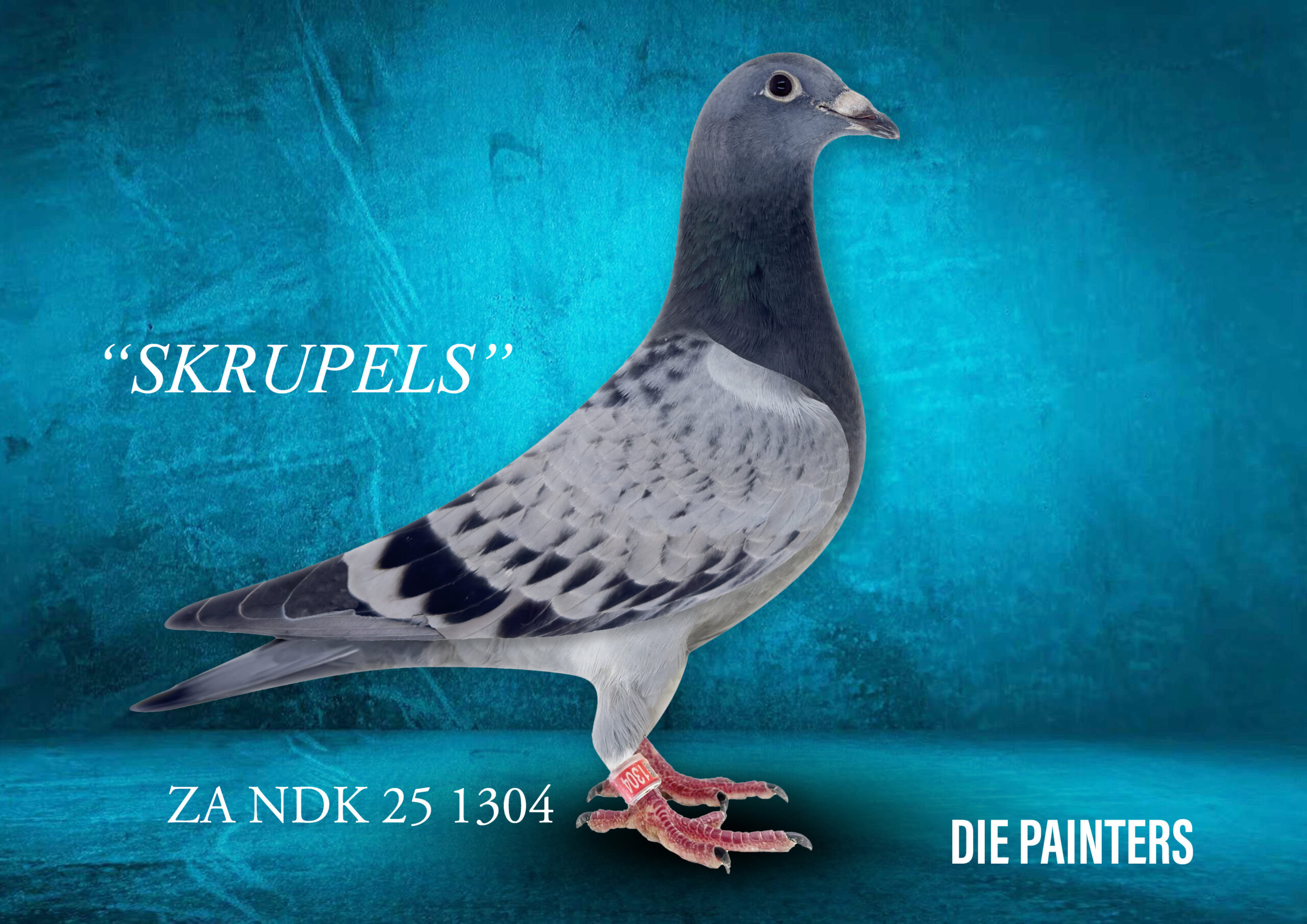 .LOT 7 DIE PAINTERS – ZA 25 NDK 1304 -This baby and its nestmate rate amongst the best we bred in 2025 based on physical characteristics. The offspring of “THE FAMOUS SK HEN” has truly made history in SA pigeon racing. Here we crossed one of her sons with the best Twilight blood in the country. The parents are part of our future and were bred for stock and selected on our very strict method of looking for performance first and then sifting out the best based on physical traits of which the throat is the most important.SEE PEDIGREE!!!