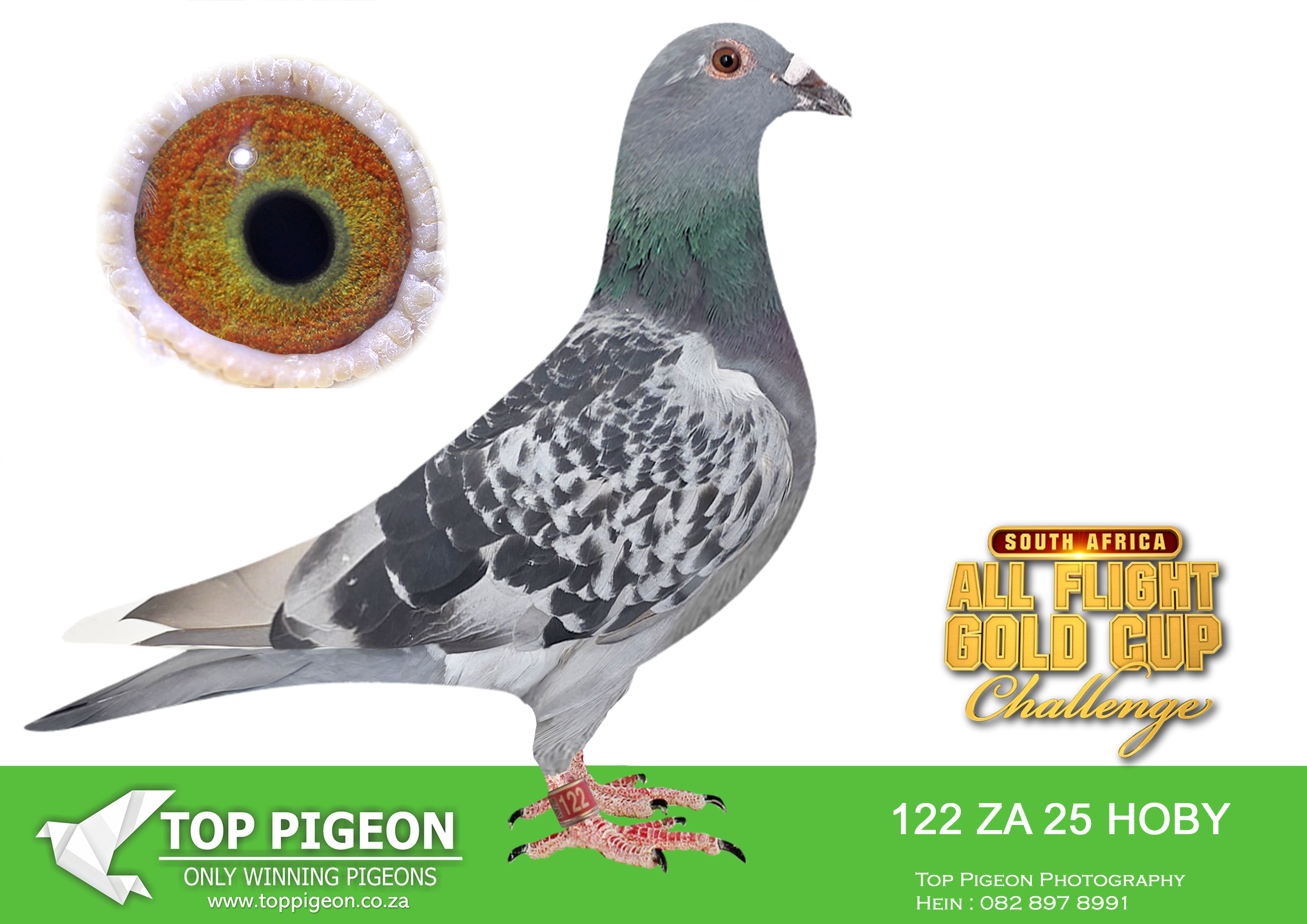 LOT 60 CARNIVAL ALL FLIGHT GOLD CUP -Anton Schonken-HOBY 25 122 –