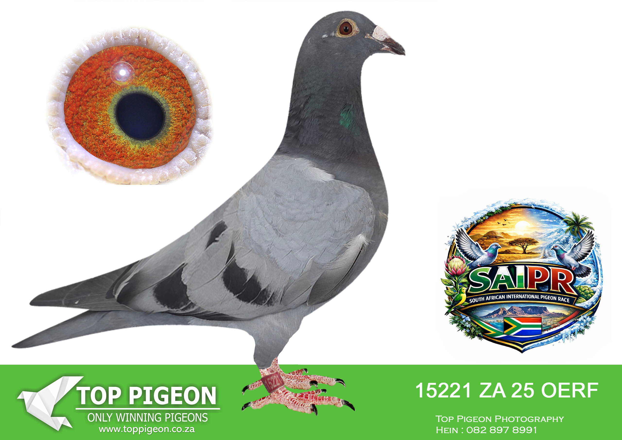 LOT 17 SAIPR SUMMER AUCTION 1 – Samuel Lofts-OERF 15221 2025 –