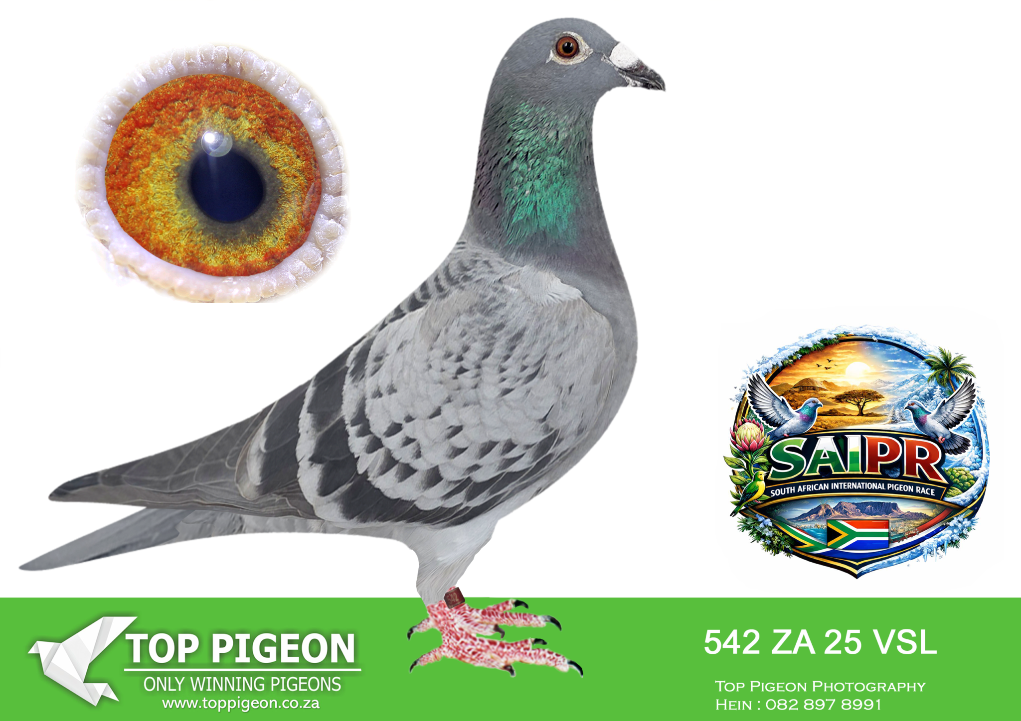 LOT 62 SAIPR SUMMER AUCTION 1 – VSL & Ignis 2- VSL 542 2025 -4TH GRAND ...
