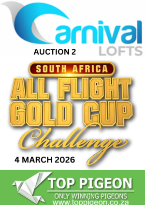 ACTIVE AUCTION - CARNIVAL ALL FLIGHT GOLD CUP AUCTION 2- FROM 27 FEBRUARY TO WEDNESDAY 4 MARCH 2026 (ENDING FROM 20:00)