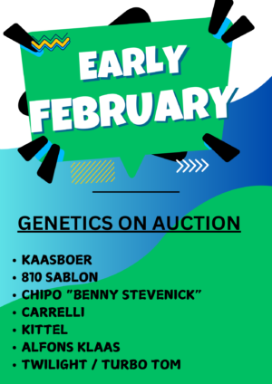 ACTIVE AUCTION - EARLY FEBRUARY - FROM 5 FEBRUARY TO SUNDAY 8 FEBRUARY 2026 (ENDING FROM 16:30)