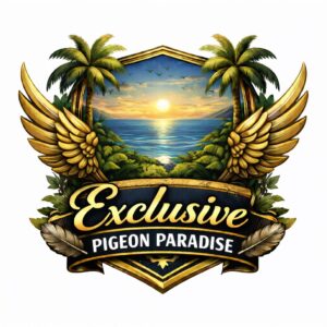 UPCOMING AUCTION - EXCLUSIVE PIGEON PARADISE
