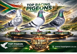 UPCOMING AUCTION - CARNIVAL ALL FLIGHT GOLD CUP -