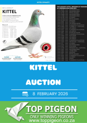 ACTIVE AUCTION - KITTEL AUCTION - FROM 4 FEBRUARY TO SUNDAY 8 FEBRUARY 2026 (ENDING FROM 15:00)