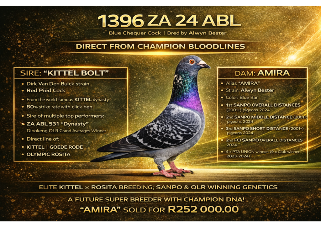 .LOT 1 “AMIRA” GENETICS – ZA 24 ABL 1396 CH C —-DIRECT SON TO 63390 ...