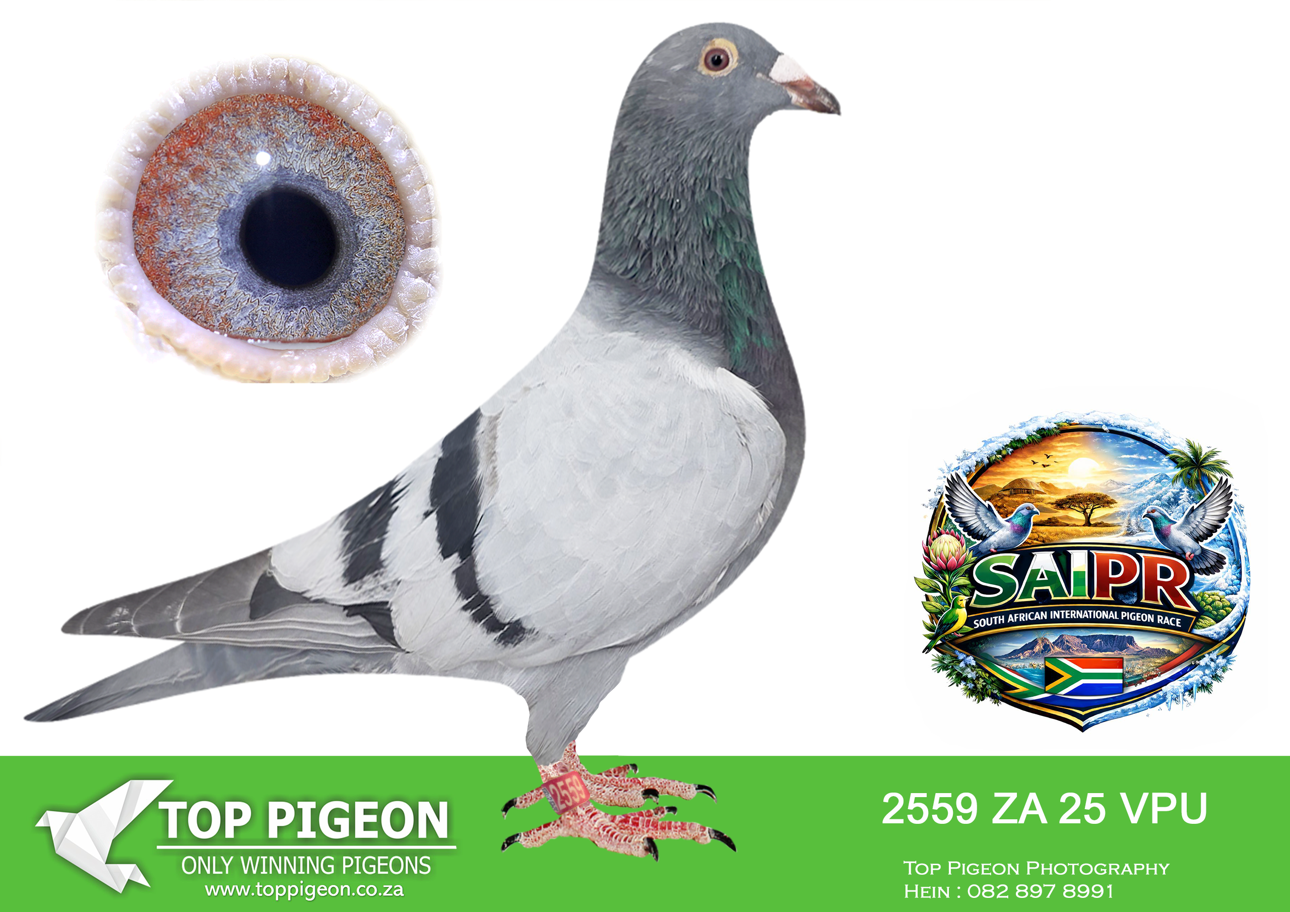 LOT 23 SAIPR SUMMER AUCTION 3 – NINJA 3-VPU 2559 2025 –