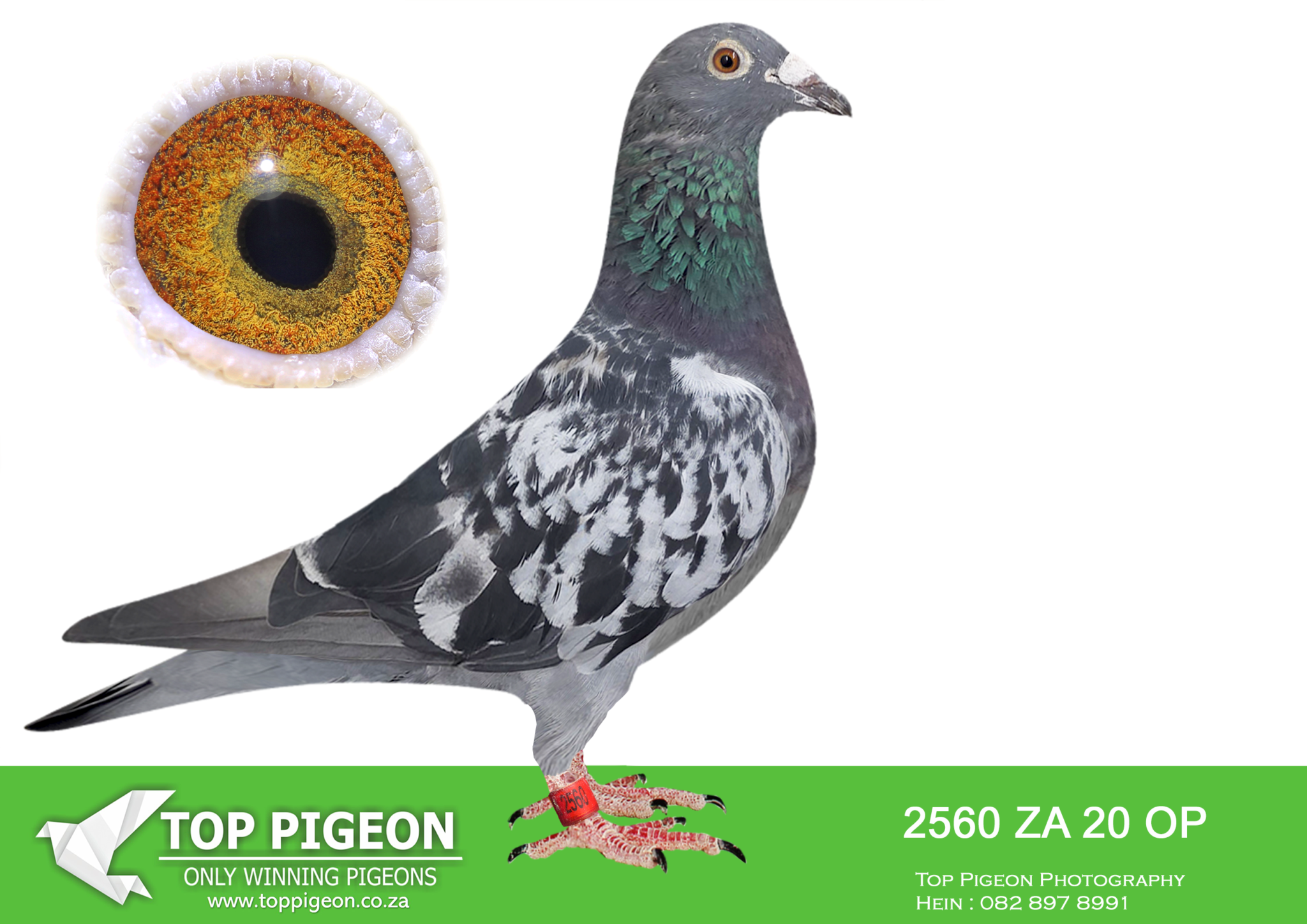 LOT 18 ANDRE ERASMUS “TSUNAMI LOFTS” – 2560 ZA 20 OP -SIRE 22452 SA OP ...