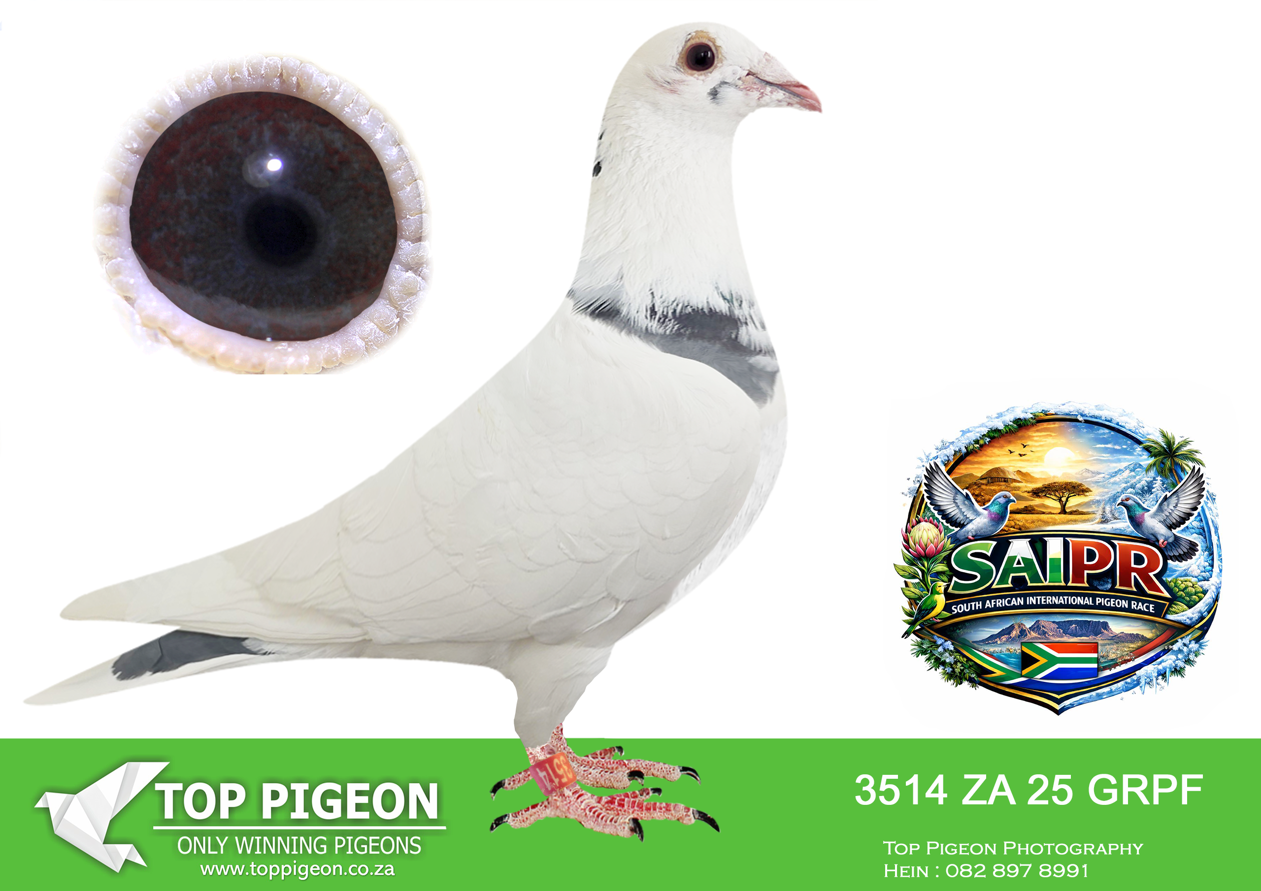 .LOT 5 SAIPR SUMMER AUCTION 3 – GREG ANDERSON-GRPF 3514 2025 –