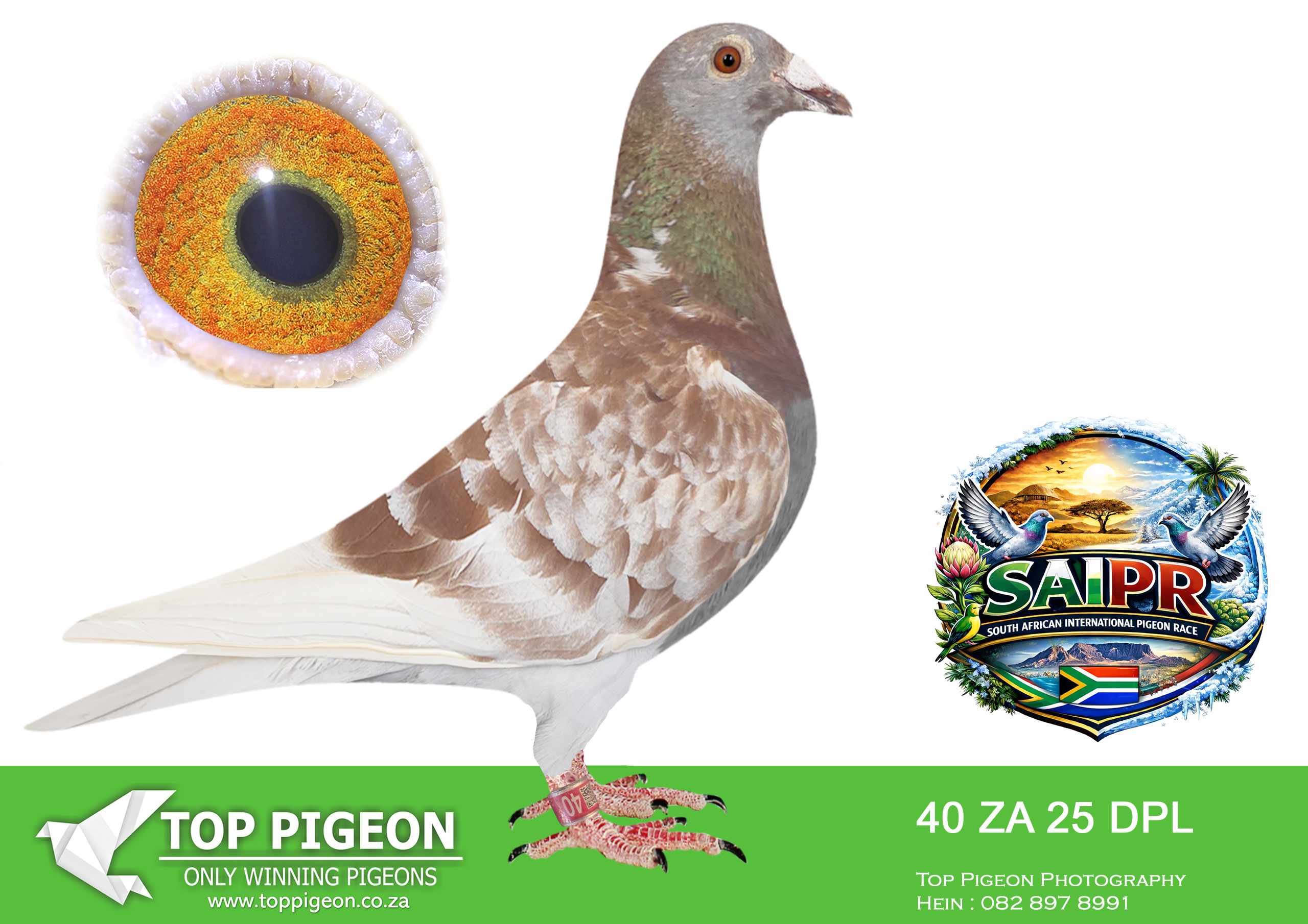 LOT 19 SAIPR SUMMER AUCTION 3 – DIESEL POWER LOFTS-40 DPL 2025 –