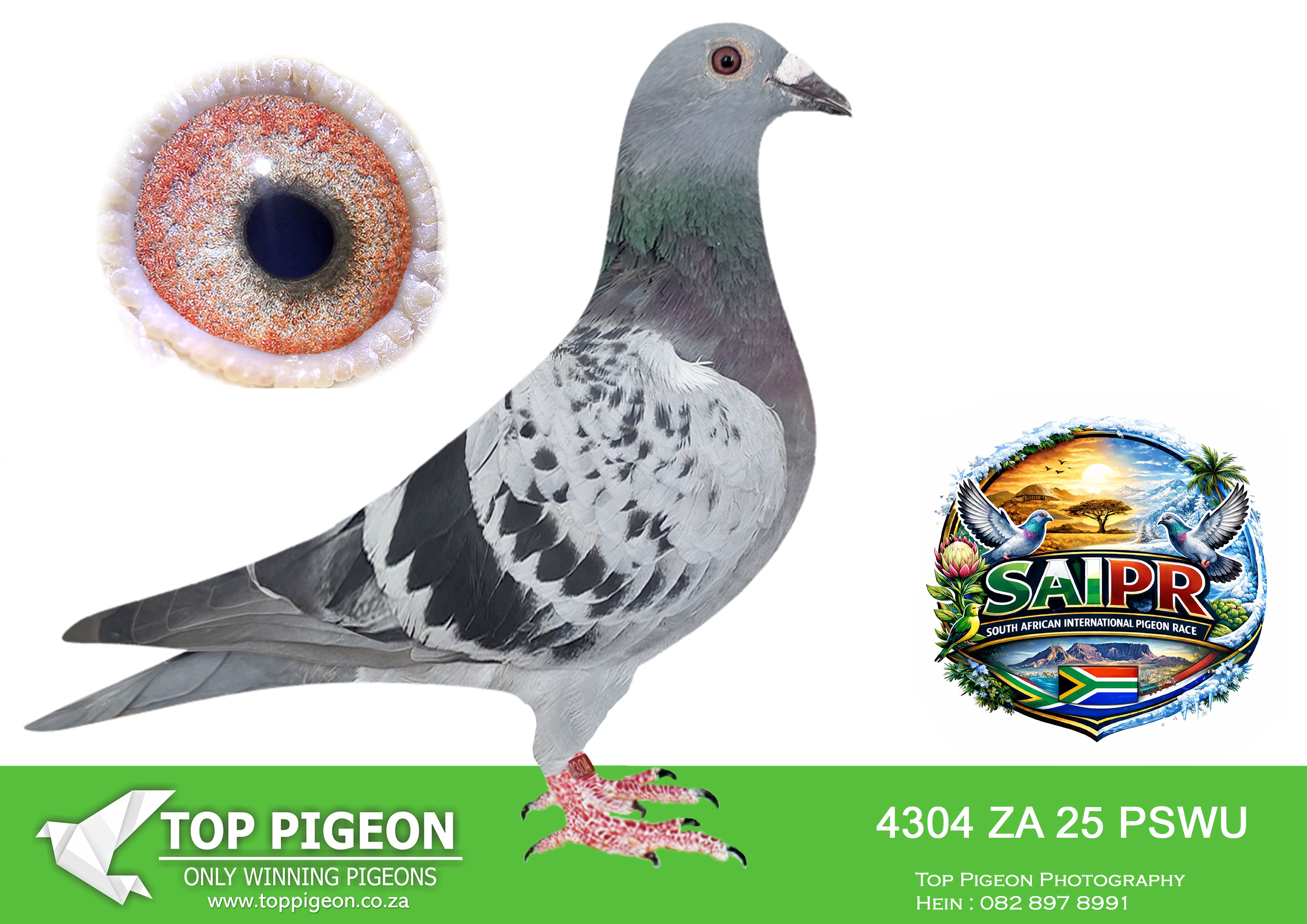 .LOT 7 SAIPR SUMMER AUCTION 3 – Double J Racing-PSWU 4304 2025 –