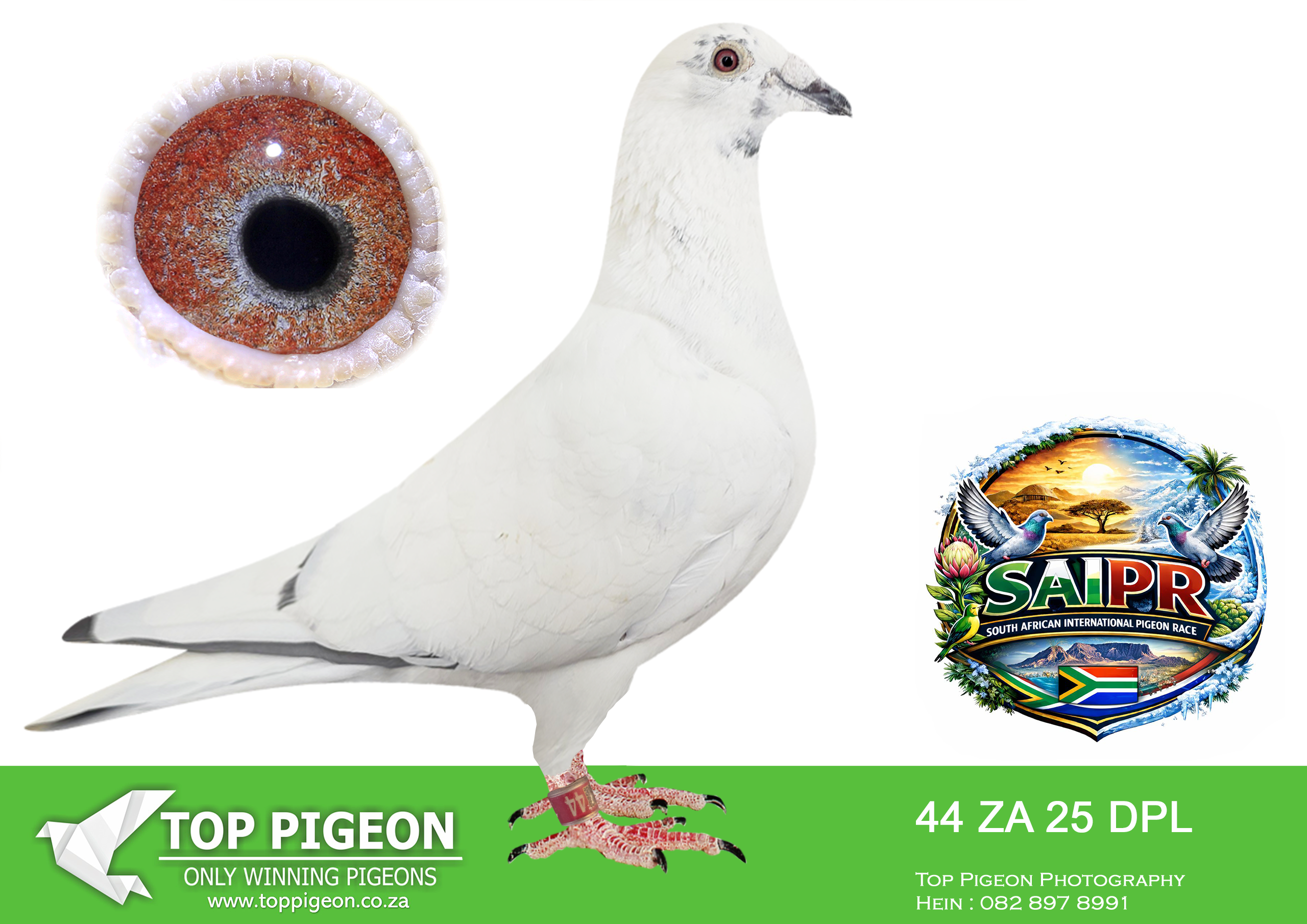 LOT 16 SAIPR SUMMER AUCTION 3 – DIESEL POWER LOFTS-DPL 44 2025 –