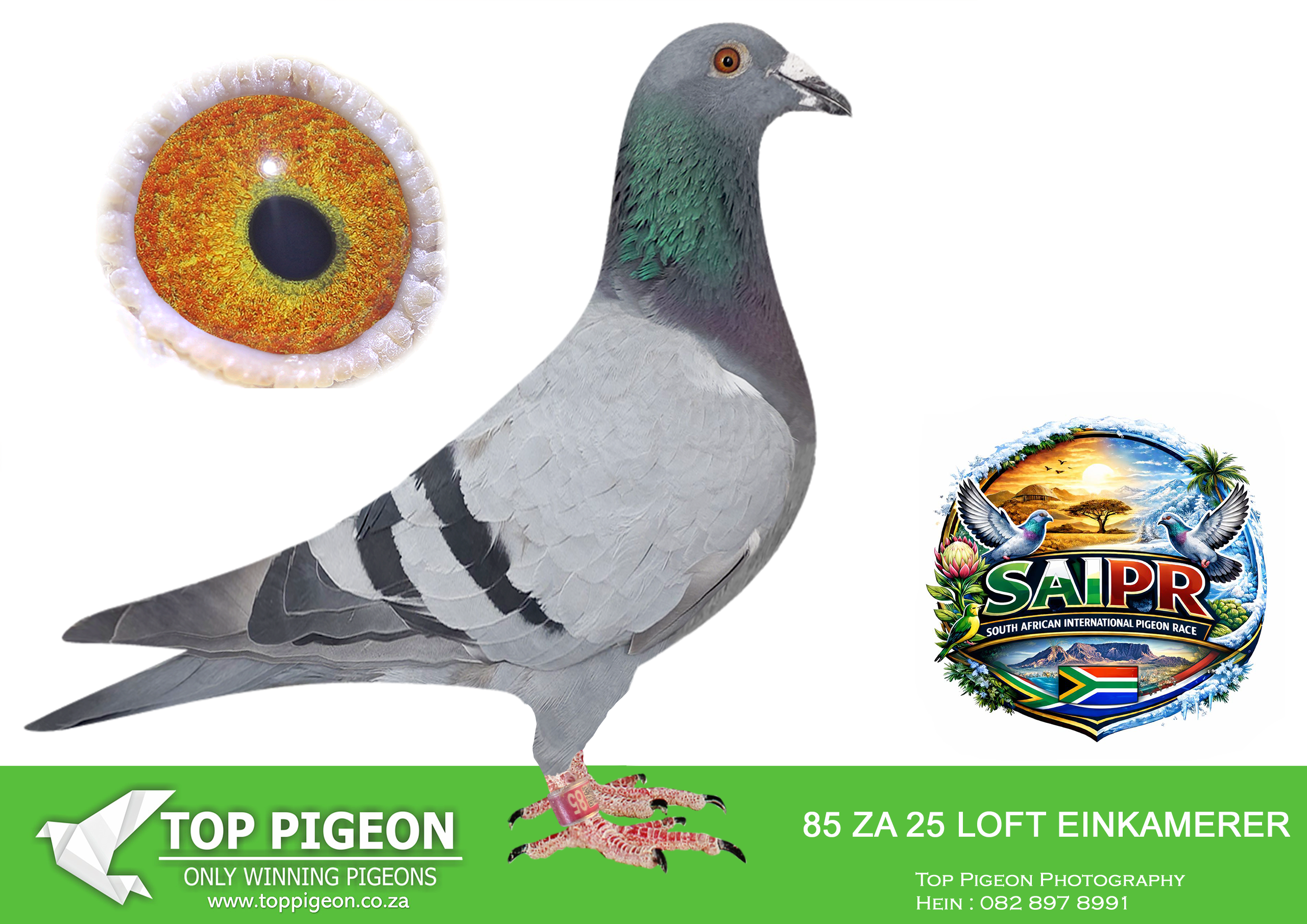 LOT 30 SAIPR SUMMER AUCTION 3 – Loft Einkamerer & Sylvelee-EIN 85 2025 –