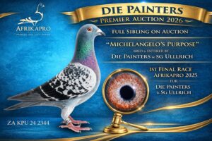 UPCOMING AUCTION - DIE PAINTERS PREMIER AUCTION - FROM 26 MARCH TO SUNDAY 29 MARCH 2026