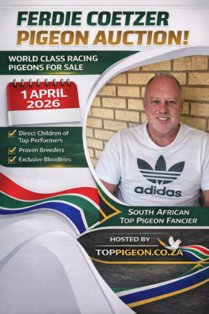ACTIVE AUCTION - FERDIE COETZER - 30 MARCH TO WEDNESDAY 1 APRIL 2026 (ENDING FROM 20:15)