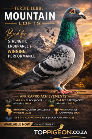 UPCOMING AUCTION - FERDIE LUBBE "MOUNTAIN LOFTS" -