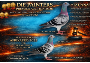 UPCOMING AUCTION - DIE PAINTERS PREMIER AUCTION 2026 - FROM 26 MARCH TO SUNDAY 29 MARCH 2026
