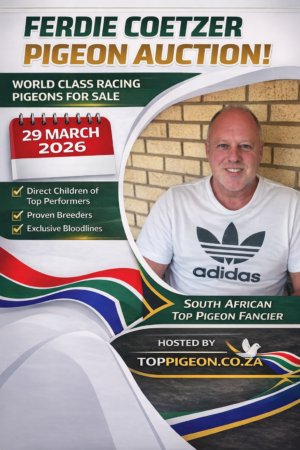 ACTIVE AUCTION - FERDIE COETZER - FROM 26 MARCH TO SUNDAY 29 MARCH 2026 (ENDING FROM 14:20)