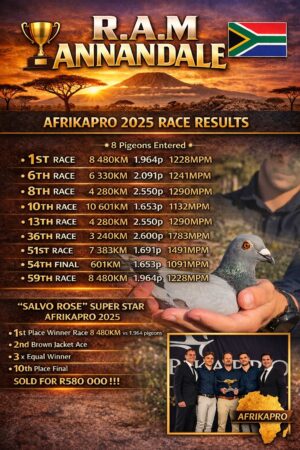 UPCOMING AUCTION - R.A.M ANNANDALE - FROM 19 MARCH TO SUNDAY 22 MARCH 2026 (ENDING FROM 15:45)