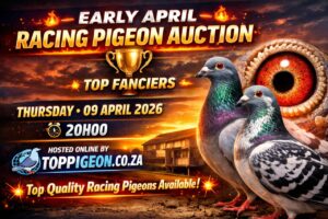 ACTIVE AUCTION - EARLY APRIL - FROM 7 APRIL TO THURSDAY 9 APRIL 2026 (ENDING FROM 20:00)