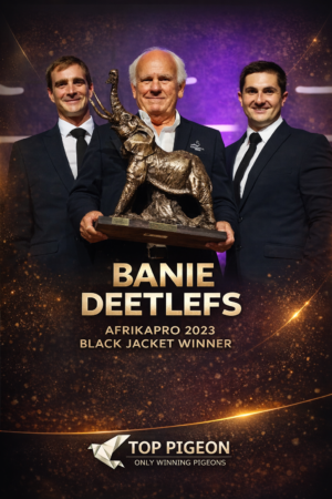 ACTIVE AUCTION - BANIE DEETLEFS - FROM 01 APRIL TO MONDAY 06 APRIL 2026 (ENDING FROM 14:00)