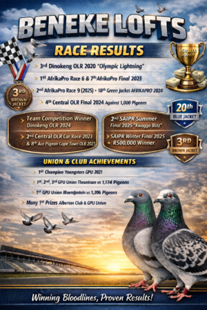 UPCOMING AUCTION - BENEKE LOFTS -