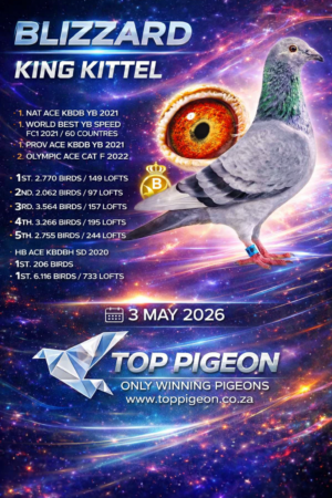 ACTIVE AUCTION - BLIZZARD KING KITTEL - FROM 28 APRIL TO SUNDAY 3 MAY 2026 (ENDING FROM 14:00)