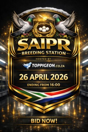 ACTIVE AUCTION - SAIPR BREEDING STATION - FROM 23 APRIL TO SUNDAY 26 APRIL 2026 (ENDING FROM 16:00)