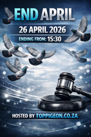 ACTIVE AUCTION - END APRIL - FROM 24 APRIL TO SUNDAY 26 APRIL 2026 (ENDING FROM 15:30)