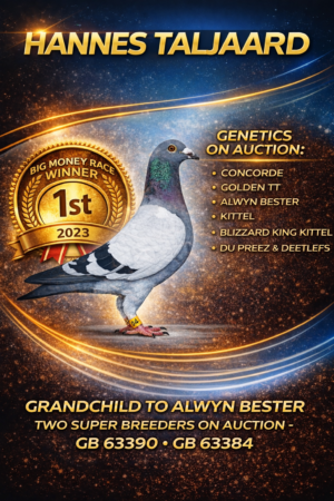 UPCOMING AUCTION - HANNES TALJAARD - FROM 02 APRIL TO MONDAY 06 APRIL 2026 (ENDING FROM 14:45)