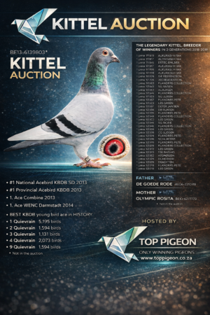 ACTIVE AUCTION - KITTEL AUCTION - FROM 15 APRIL TO SUNDAY 19 APRIL 2026 (ENDING FROM 14:45)