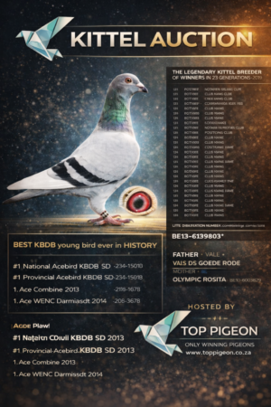 ACTIVE AUCTION - KITTEL AUCTION - FROM 20 APRIL TO WEDNESDAY 22 APRIL 2026 (ENDING FROM 20:20)