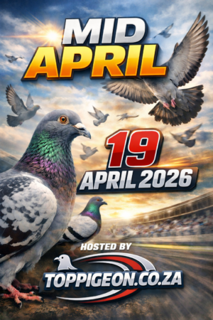 UPCOMING AUCTION - MID APRIL - FROM 16 APRIL TO SUNDAY 19 APRIL 2026 (ENDING FROM 17:00)