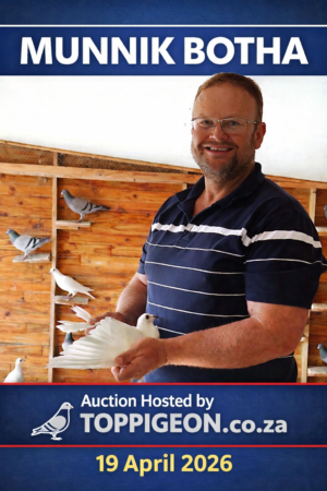 ACTIVE AUCTION - MUNNIK BOTHA - FROM 15 APRIL TO SUNDAY 19 APRIL 2026 (ENDING FROM 15:00)