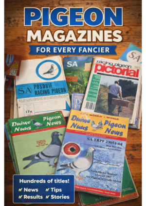 ACTIVE AUCTION - PIGEON MAGAZINES - FROM 20 APRIL TO WEDNESDAY 22 APRIL 2026 (ENDING FROM 21:00)
