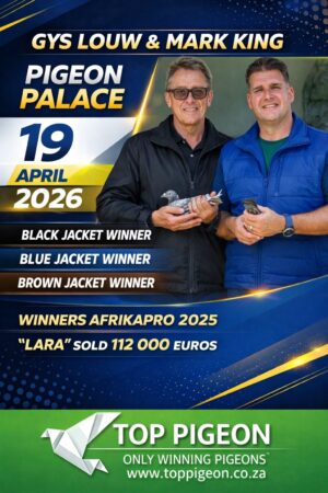 ACTIVE AUCTION - PIGEON PALACE - FROM 17 APRIL TO SUNDAY 19 APRIL 2026 (ENDING FROM 14:00)