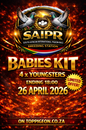 ACTIVE AUCTION - SAIPR BREEDING STATION BABIES KIT - FROM 23 APRIL TO SUNDAY 26 APRIL 2026 (ENDING 18:00)