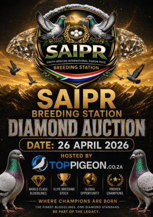 ACTIVE AUCTION - SAIPR BREEDING STATION DIAMOND AUCTION - FROM 22 APRIL TO SUNDAY 26 APRIL 2026 (ENDING FROM 15:00)