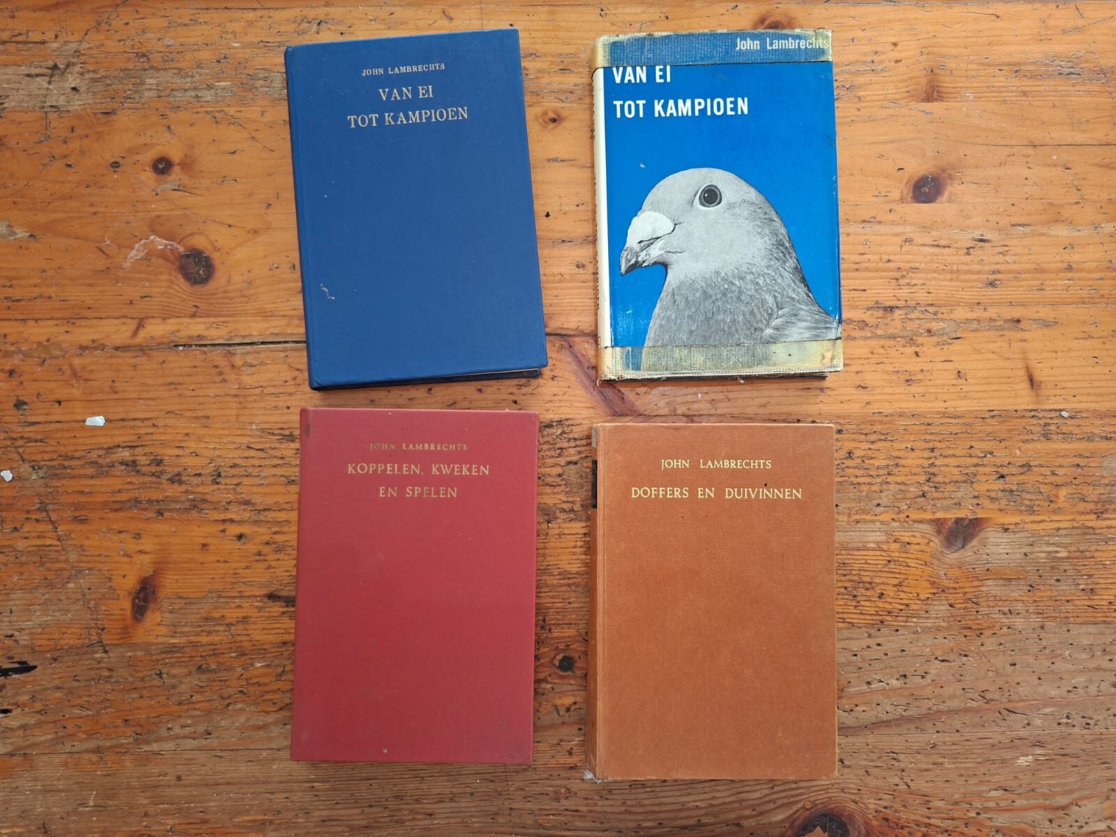 .LOT 6 PIGEON BOOKS